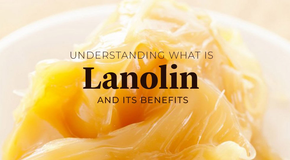 Understanding Lanolin and Its Benefits Raw Essentials