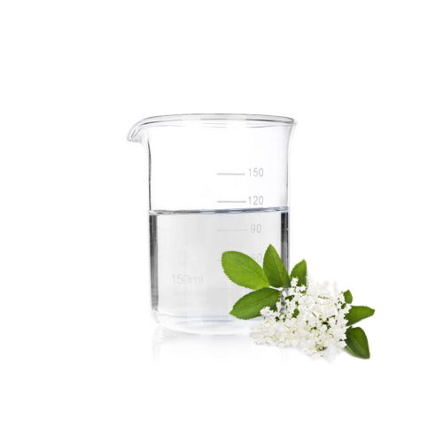Biologica Primary Essentials - Elderflower Lemonade - HSA/FSA Eligible