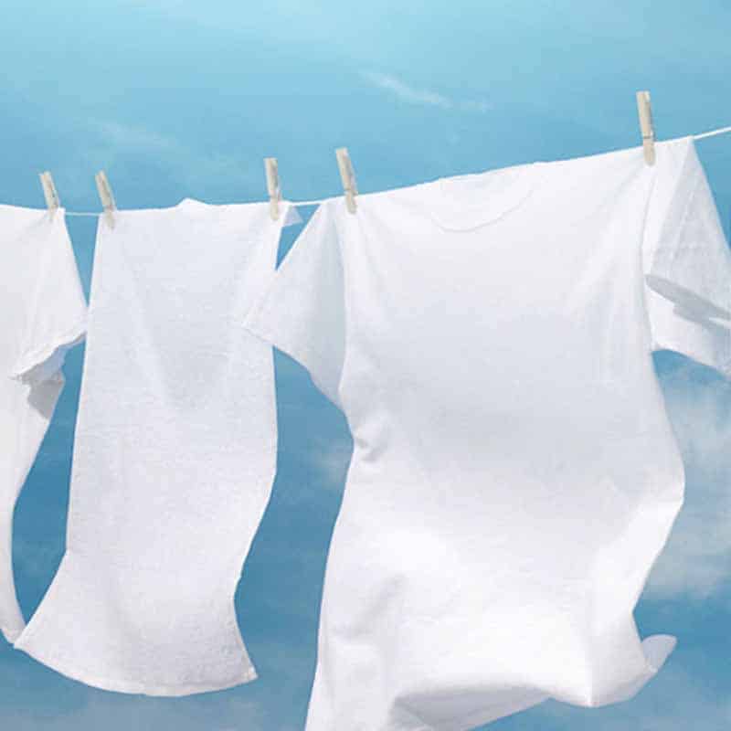 Fresh Linen Fragrance Oil Raw Essentials