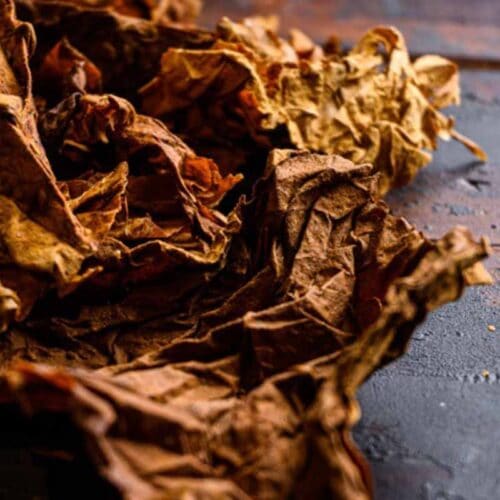 Tobacco Vanilla Fragrance Oil Raw Essentials